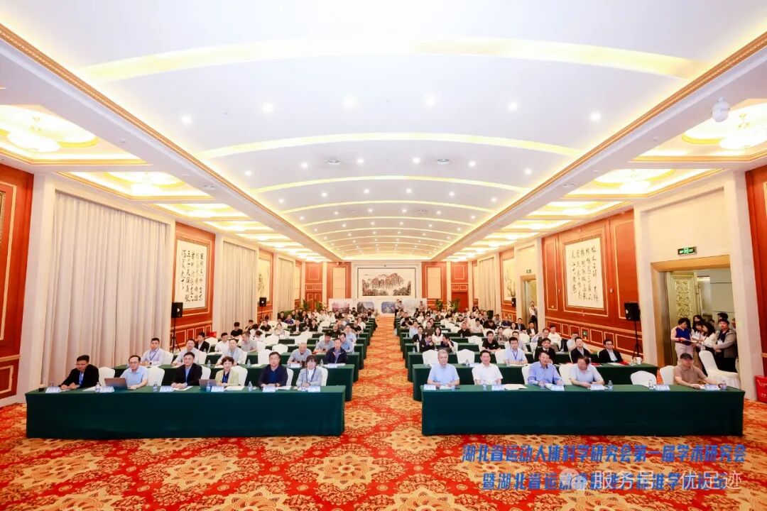 新闻 | 热烈庆祝湖北省运动人体科学研究会第一届运动系统疾病与康复学术研讨会圆满落幕！